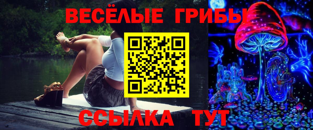 Псилоцибиновые грибы Psilocybe Чебаркуль