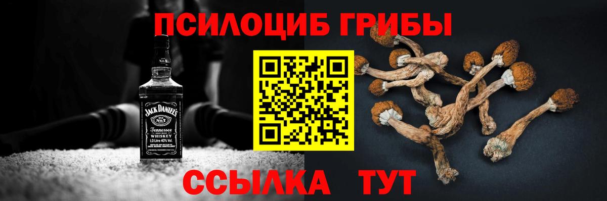 Чебаркуль  Псилоцибиновые грибы Magic Shrooms  Вход с VPN 